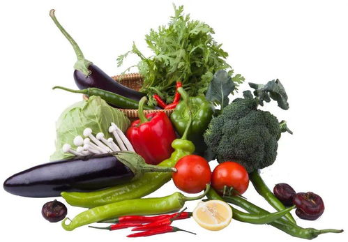 復(fù)課后學(xué)校食堂管理與學(xué)生安全指南